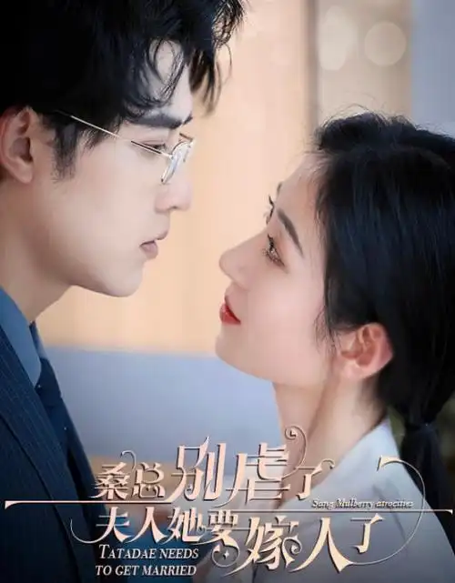 长风渡月热播电视剧全集免费在线观看